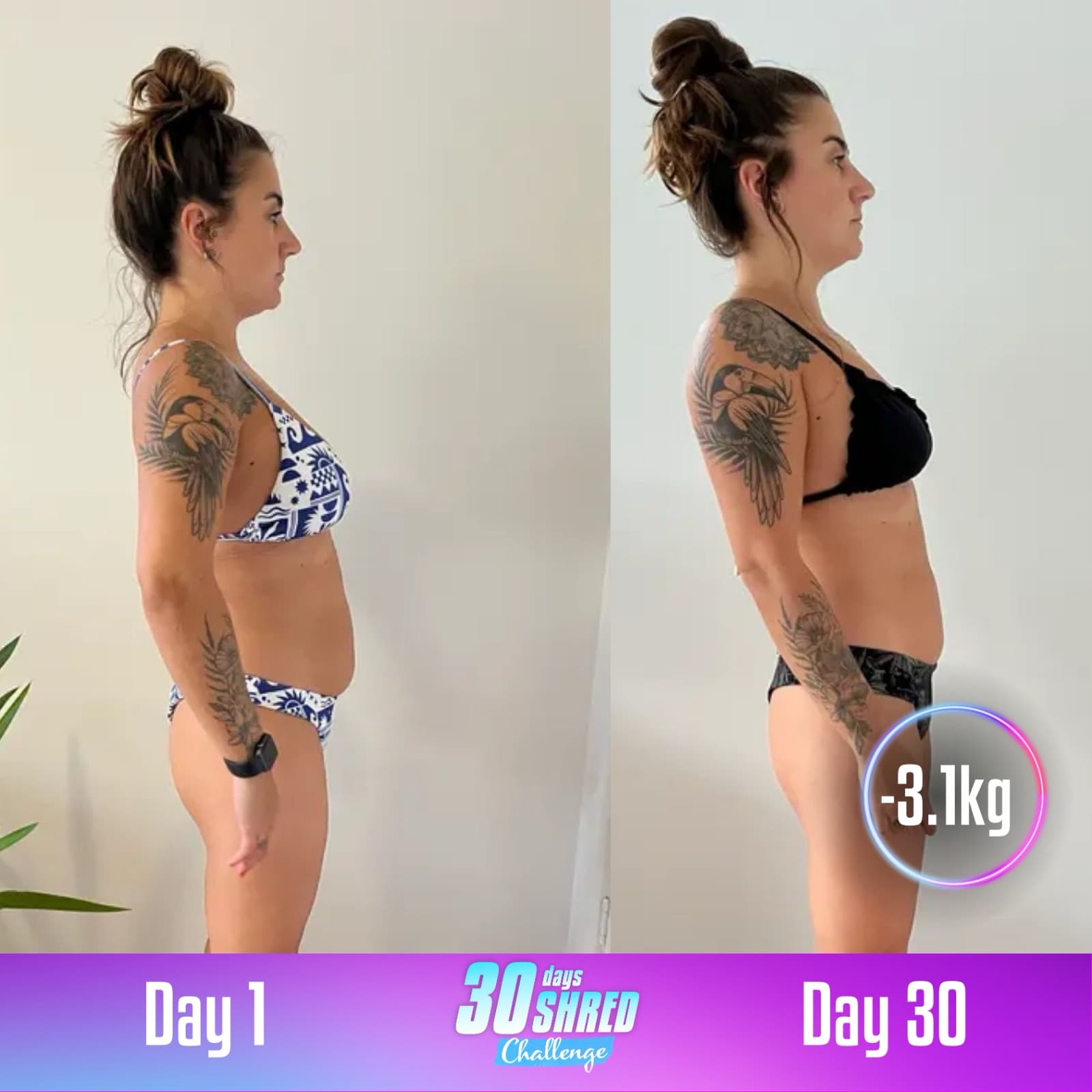 Transformation Progress